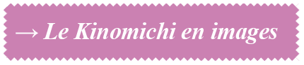 kinomichi_bouton